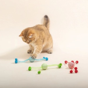 고양이 장난감 공 인공 다채로운 고양이 티저 장난감 애완 동물 용품 인터랙티브 재미있는 공 장난감 고양이 액세서리